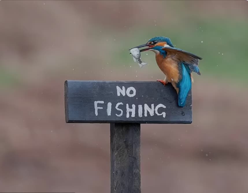 no fishing breaking rule